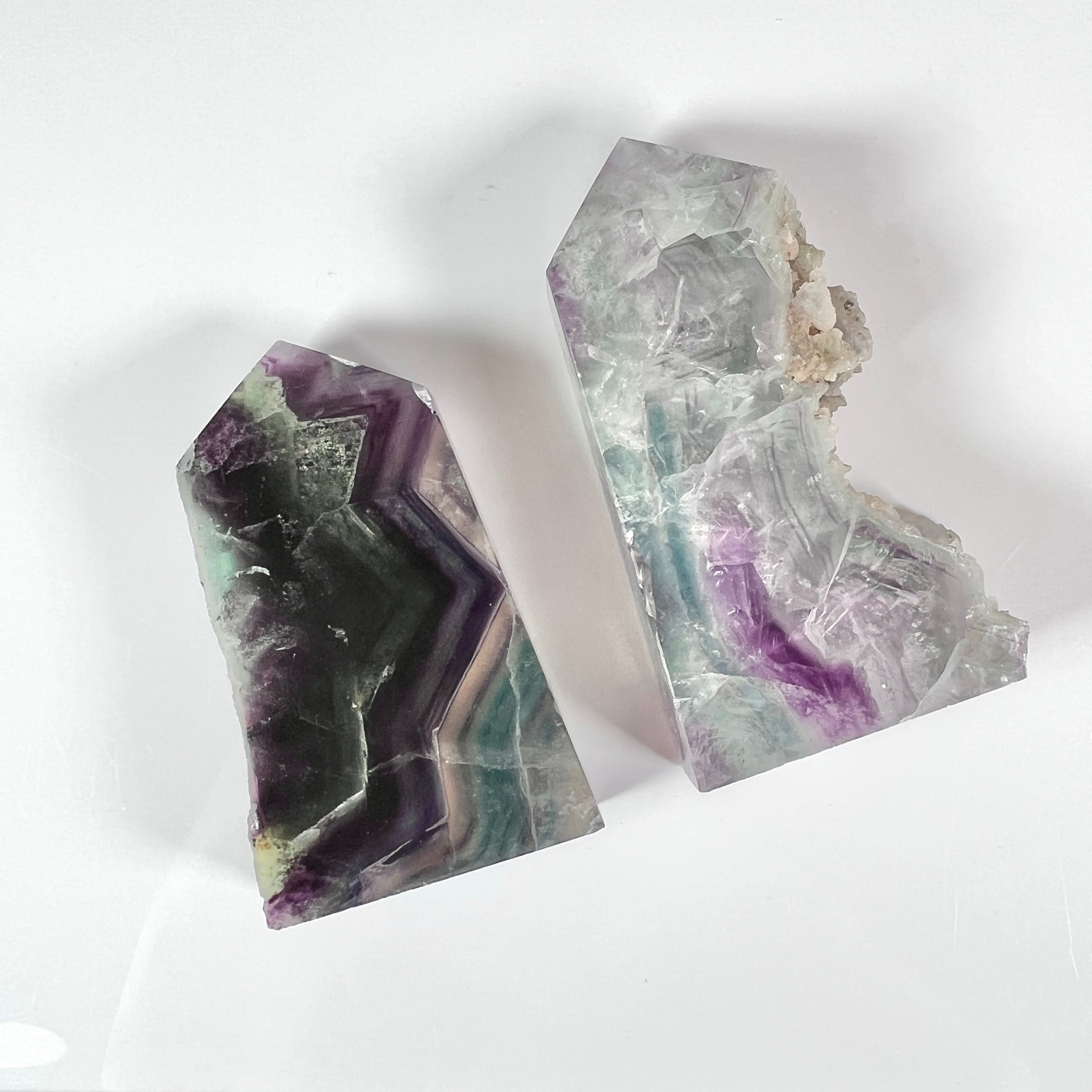 Sidnie2919 live 4/10