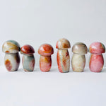 Load image into Gallery viewer, Polychrome Jasper Mushroom Carving
